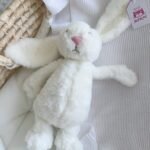 دمية الأرنب الظريف L